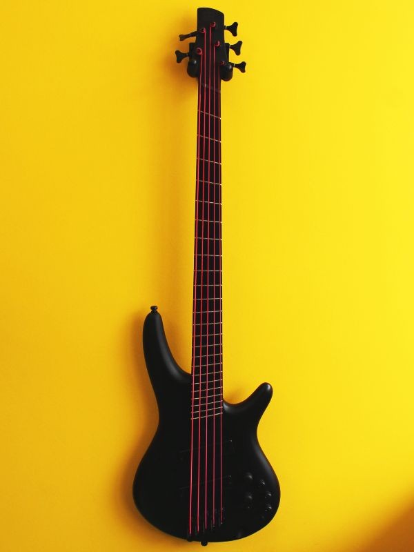 Ibanez SRMS625EX-BKF 5-String Multiscale Active Bass